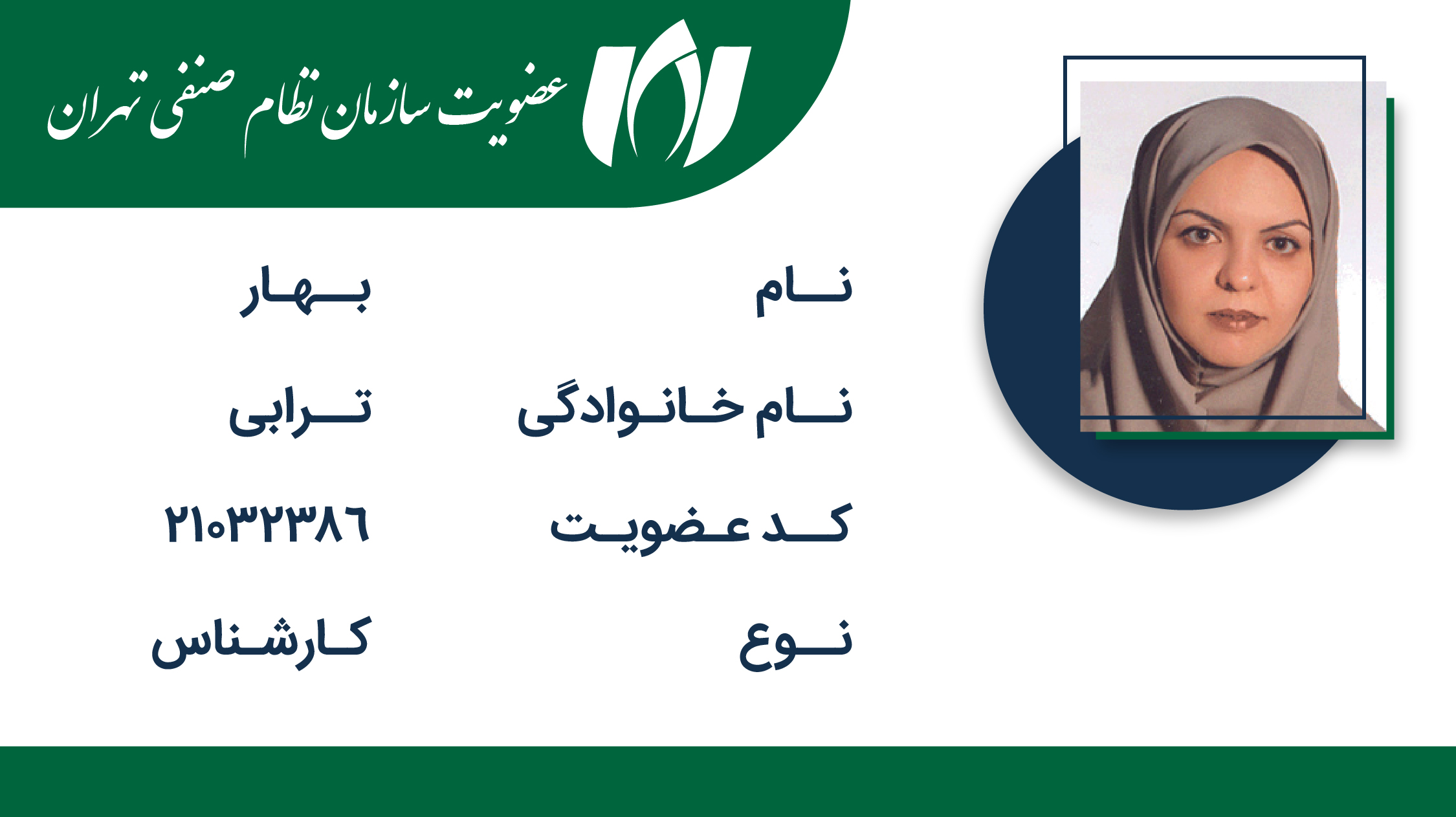 سازمان نظام صنفی