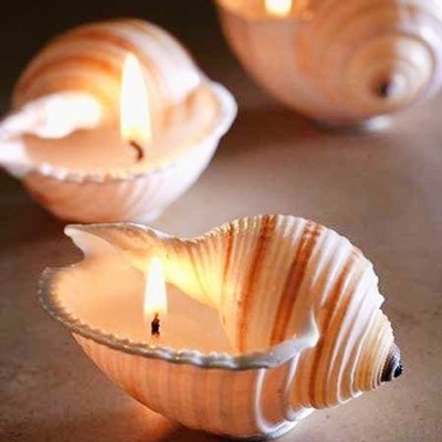 شمع صدفی فوق‌العاده خاص و جذاب
