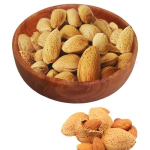 بادام درختی