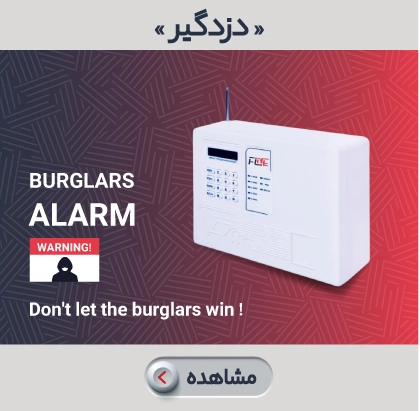 انواع دزدگیر فاین