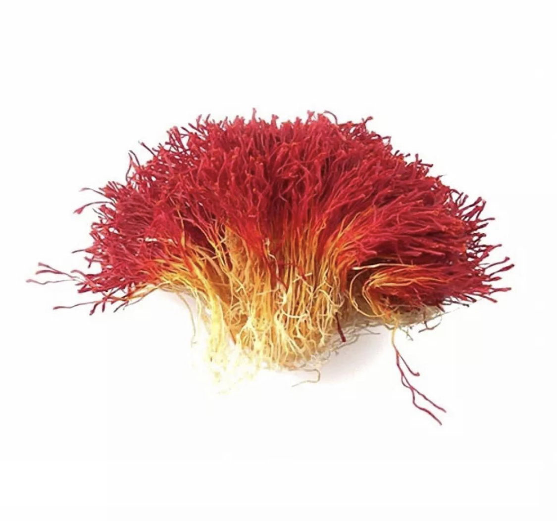 زعفران دختر پیچ