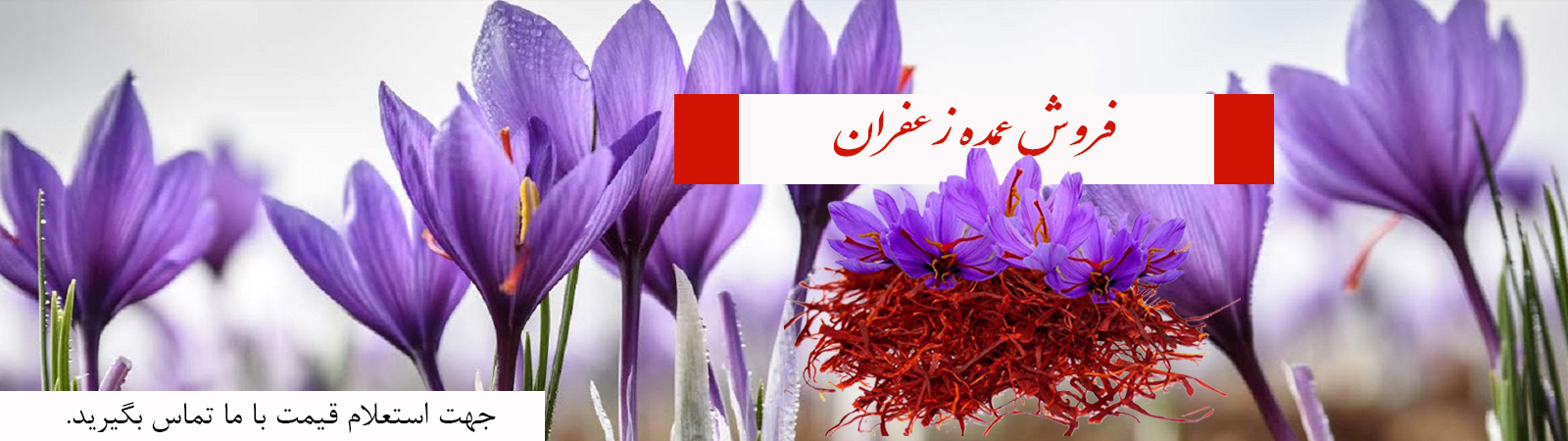 فروش عمده زعفران