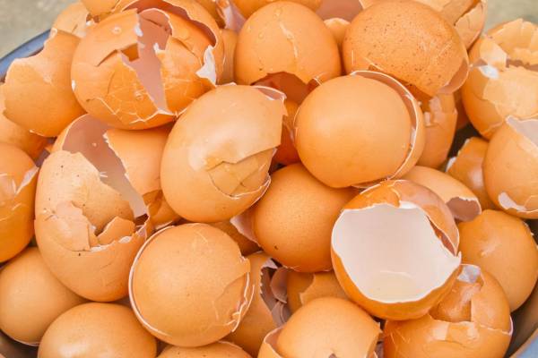 نقش منگنز بر کیفیت پوسته تخم مرغ