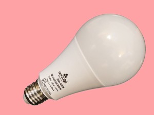 لامپ ال ای دی 25 وات حبابی ایران زمین (مهتابی) پایه سرپیچ E27