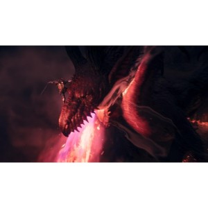 Dragon Dogma Stellbook-PS5
