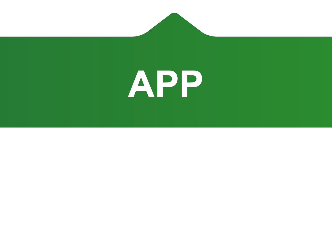 APP